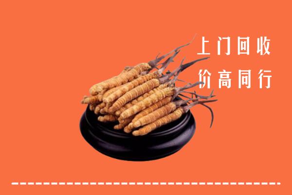 伊春市金林回收散虫草