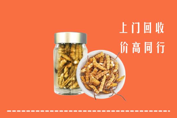 伊春市金林回收冬虫夏草